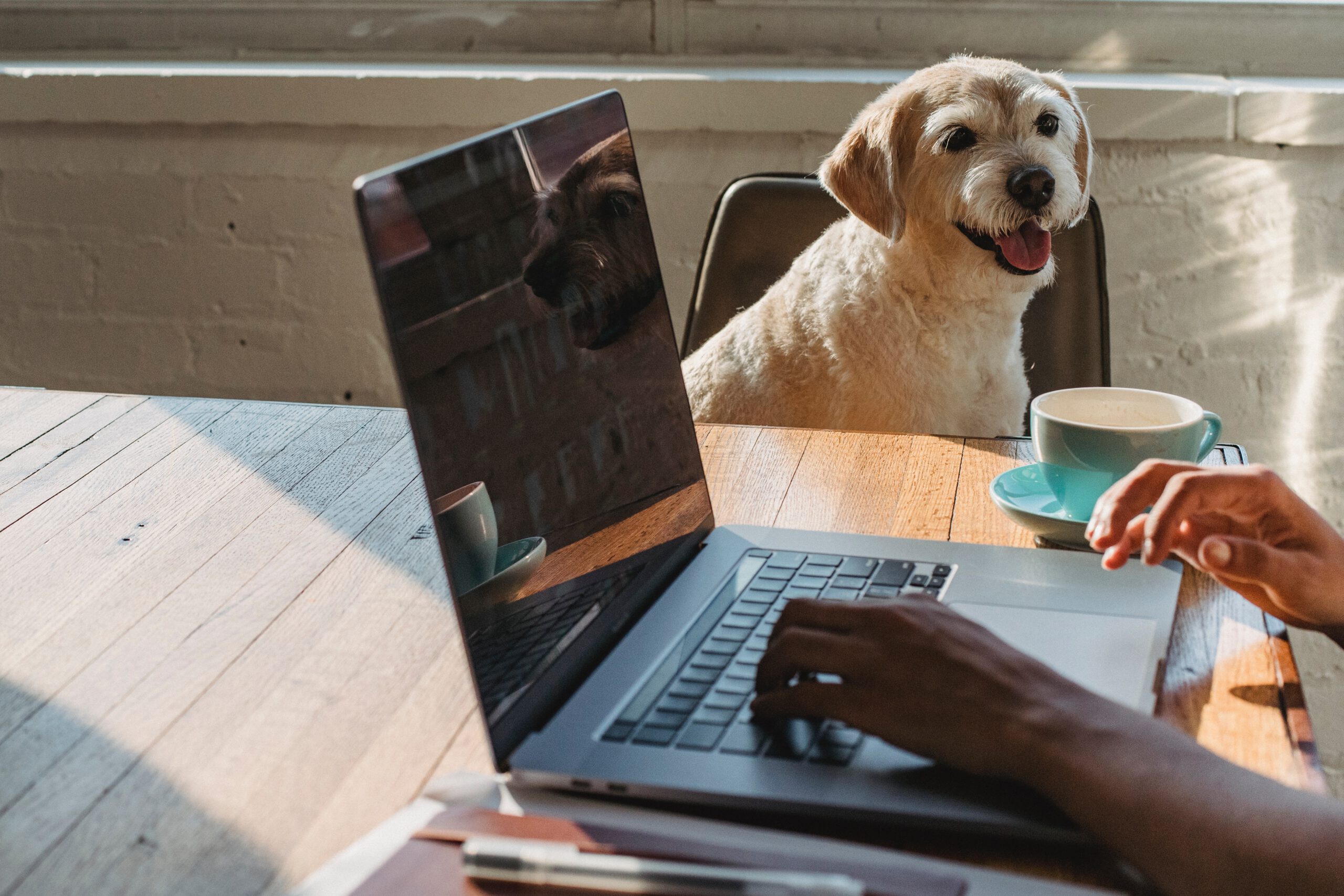 Happy werkplek - geen zorgen over veiligheid